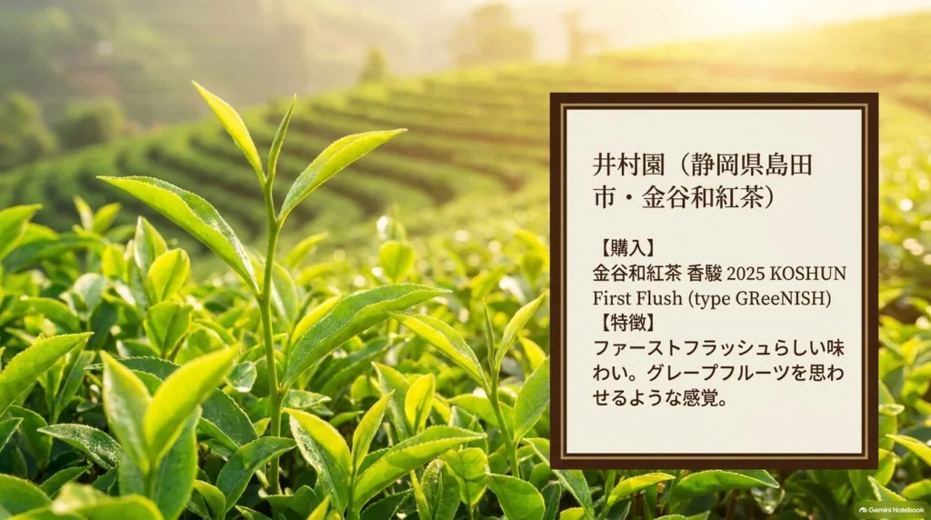 井村園（静岡県島田市・金谷和紅茶）で買った金谷和紅茶 香駿 2025 KOSHUN First Flush